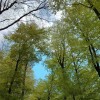 Sonne und gaaanz viel Grün – da ist ein Picknick mit leckeren Schoko-Cookies Pflicht!